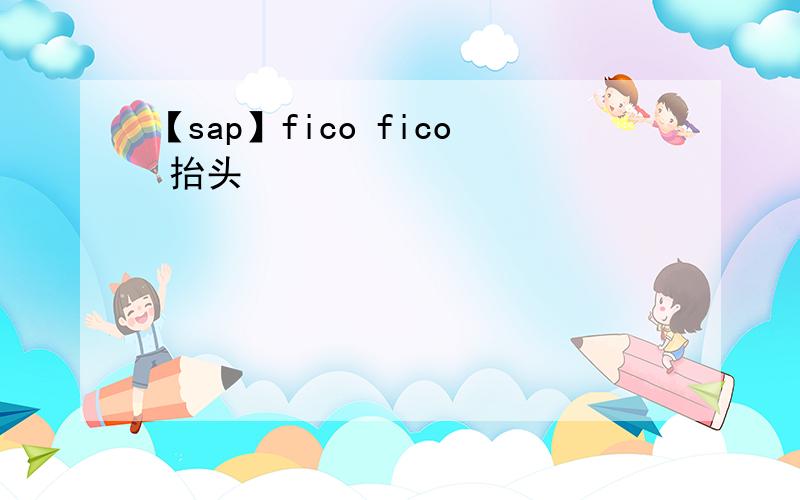 【sap】fico fico 抬头