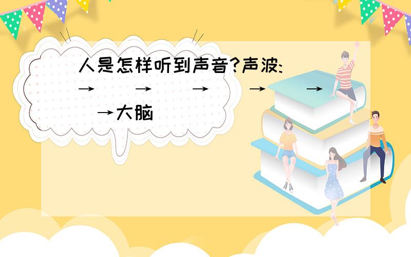 人是怎样听到声音?声波:()→()→()→()→()→()→大脑