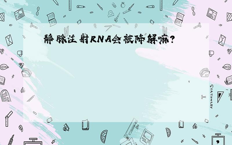 静脉注射RNA会被降解嘛?