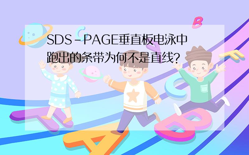 SDS-PAGE垂直板电泳中跑出的条带为何不是直线?