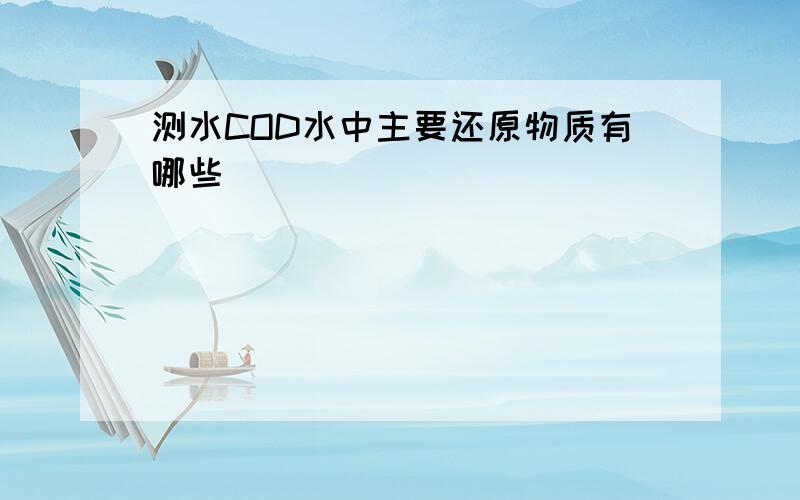 测水COD水中主要还原物质有哪些