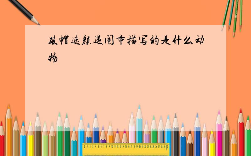 破帽遮颜过闹市描写的是什么动物