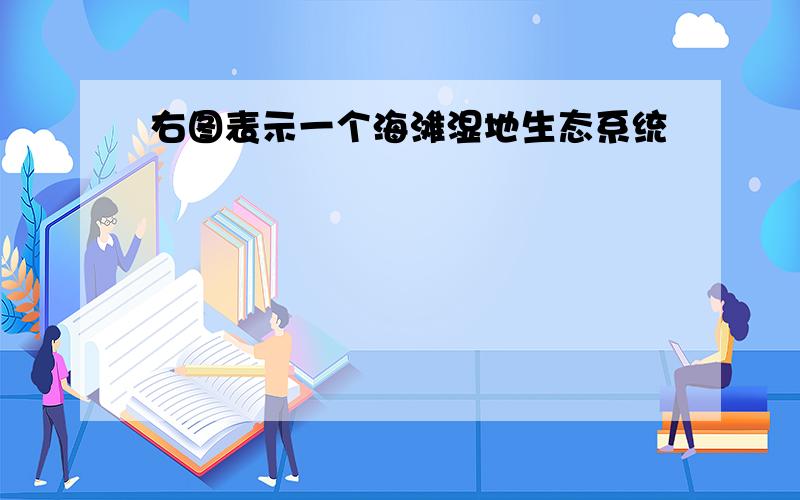 右图表示一个海滩湿地生态系统