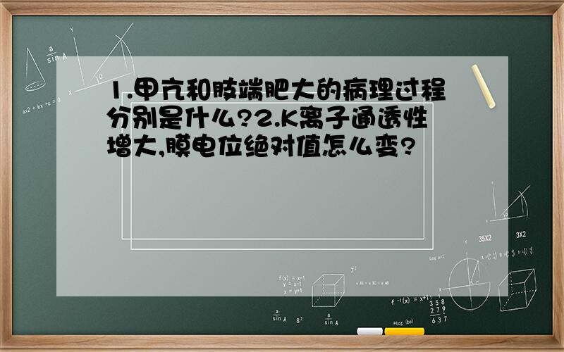 1.甲亢和肢端肥大的病理过程分别是什么?2.K离子通透性增大,膜电位绝对值怎么变?