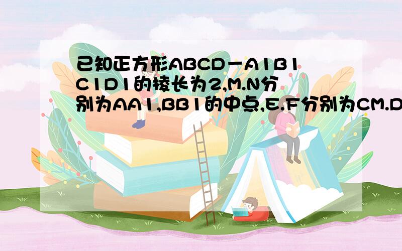 已知正方形ABCD－A1B1C1D1的棱长为2,M.N分别为AA1,BB1的中点,E.F分别为CM.D1N的中点