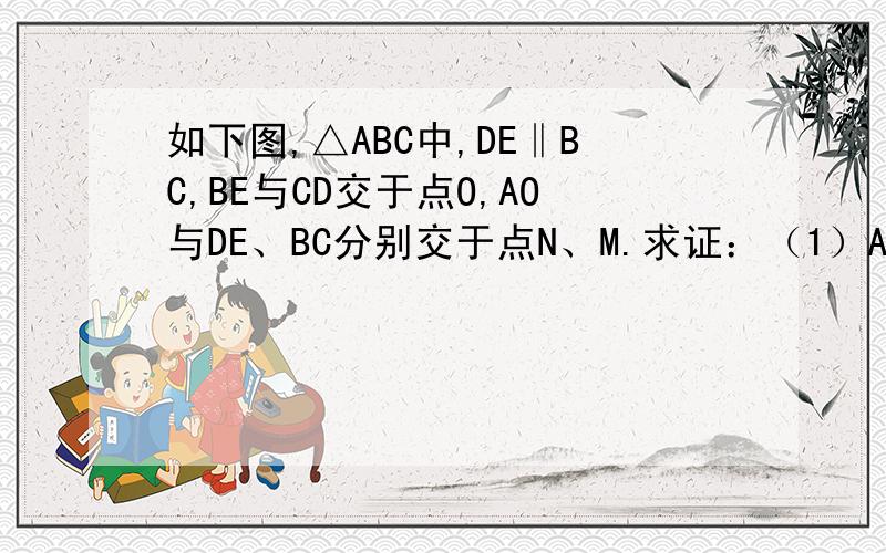 如下图,△ABC中,DE‖BC,BE与CD交于点O,AO与DE、BC分别交于点N、M.求证：（1）AN：AM=ON：OM