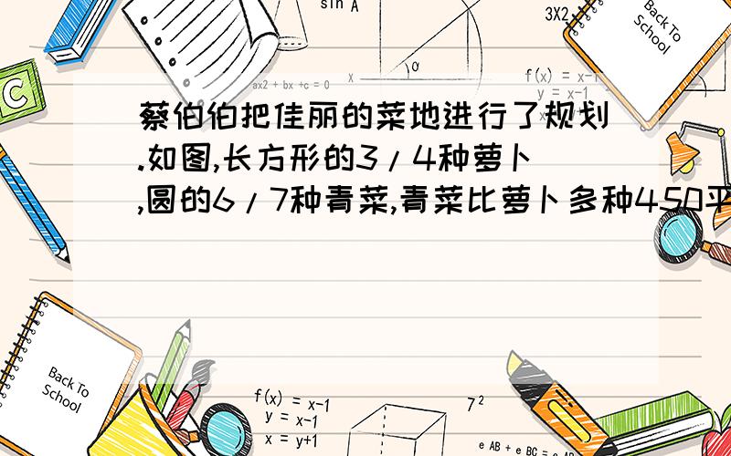 蔡伯伯把佳丽的菜地进行了规划.如图,长方形的3/4种萝卜,圆的6/7种青菜,青菜比萝卜多种450平方米.黄瓜重了多少平方