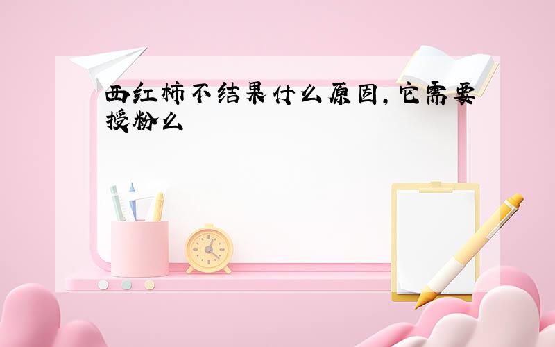 西红柿不结果什么原因,它需要授粉么