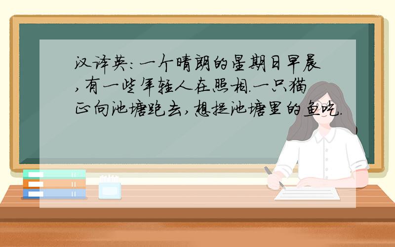 汉译英：一个晴朗的星期日早晨,有一些年轻人在照相.一只猫正向池塘跑去,想捉池塘里的鱼吃.