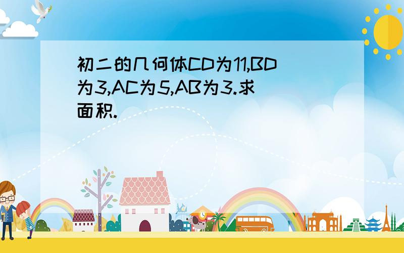 初二的几何体CD为11,BD为3,AC为5,AB为3.求面积.