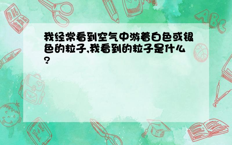 我经常看到空气中游着白色或银色的粒子,我看到的粒子是什么?