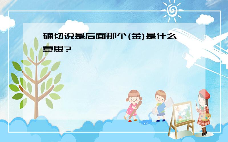 确切说是后面那个(金)是什么意思?