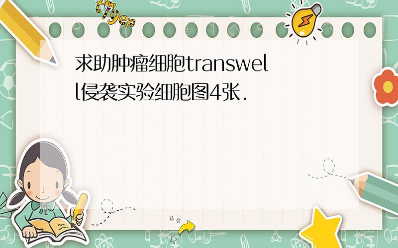 求助肿瘤细胞transwell侵袭实验细胞图4张.