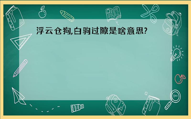 浮云仓狗,白驹过隙是啥意思?