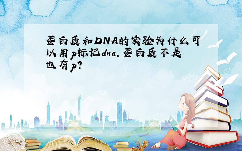 蛋白质和DNA的实验为什么可以用p标记dna,蛋白质不是也有p?