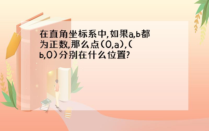 在直角坐标系中,如果a,b都为正数,那么点(0,a),(b,0)分别在什么位置?