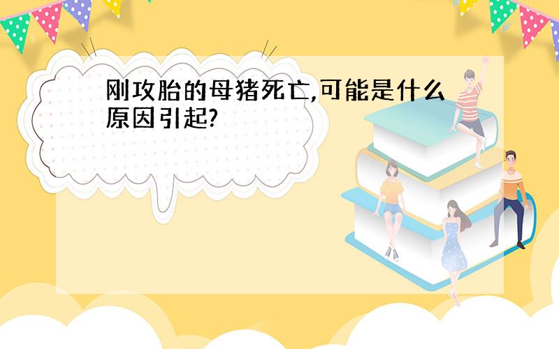 刚攻胎的母猪死亡,可能是什么原因引起?