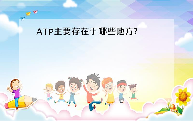 ATP主要存在于哪些地方?