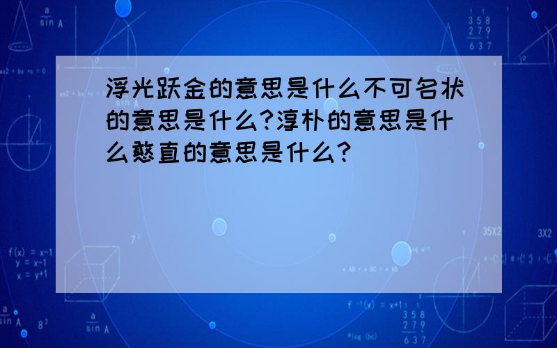 浮光跃金的意思是什么不可名状的意思是什么?淳朴的意思是什么憨直的意思是什么?