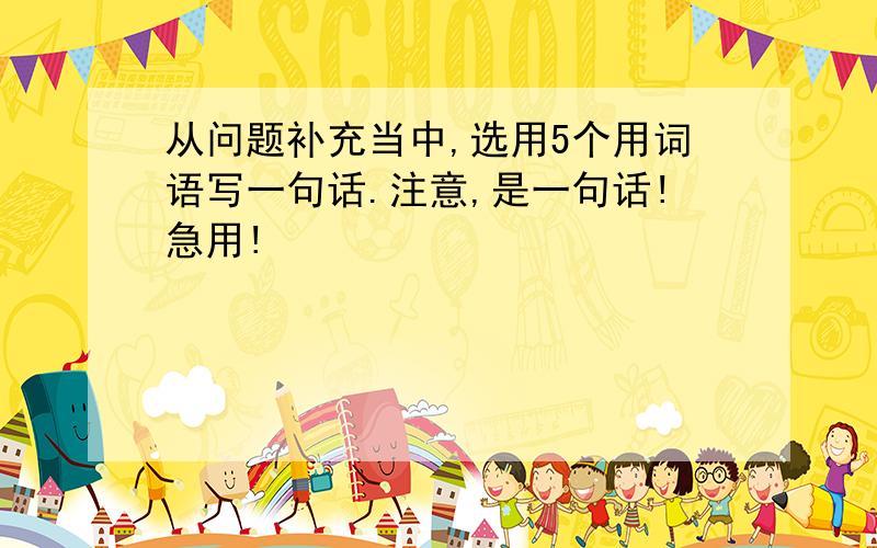 从问题补充当中,选用5个用词语写一句话.注意,是一句话!急用!