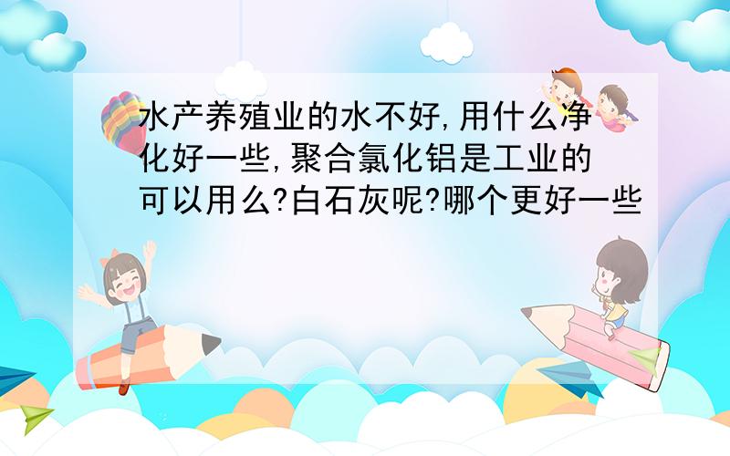 水产养殖业的水不好,用什么净化好一些,聚合氯化铝是工业的可以用么?白石灰呢?哪个更好一些