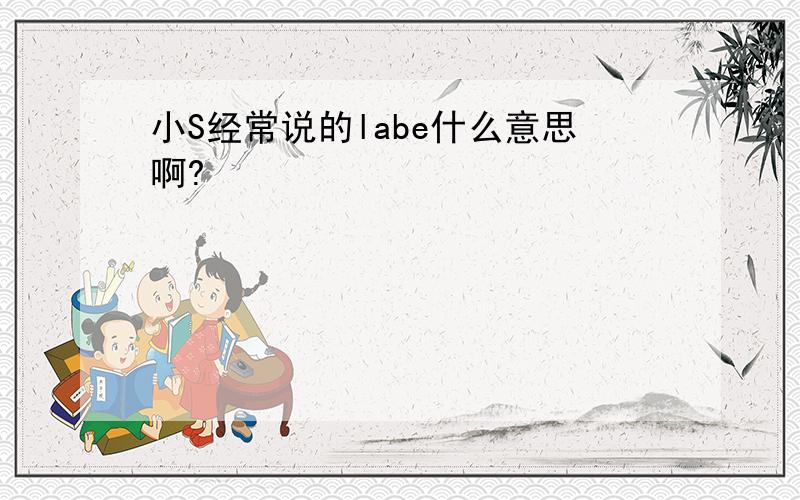 小S经常说的labe什么意思啊?