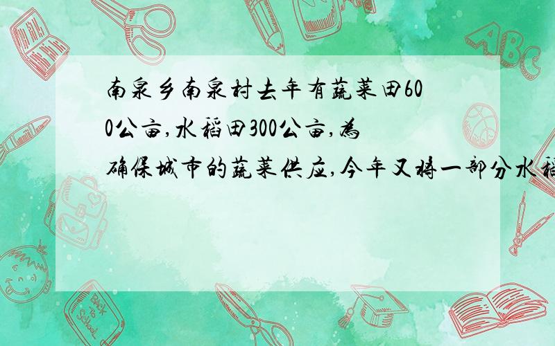 南泉乡南泉村去年有蔬菜田600公亩,水稻田300公亩,为确保城市的蔬菜供应,今年又将一部分水稻田改为蔬菜