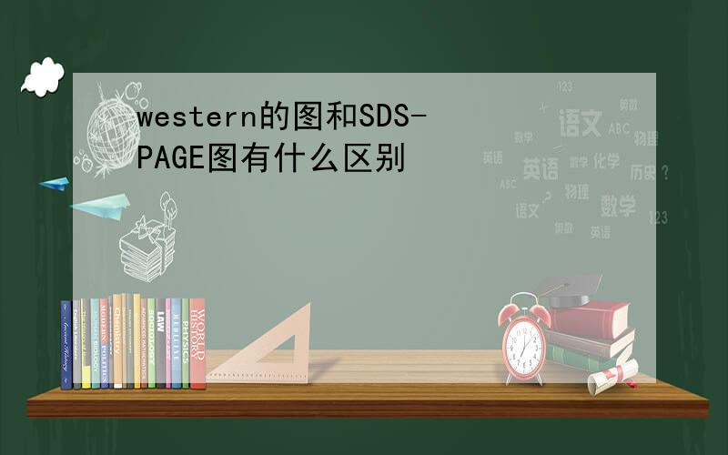 western的图和SDS-PAGE图有什么区别