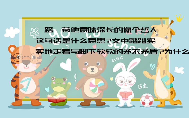 一路蔷薇他意味深长的像个哲人这句话是什么意思?文中踏踏实实地走着与脚下软软的矛不矛盾?为什么?