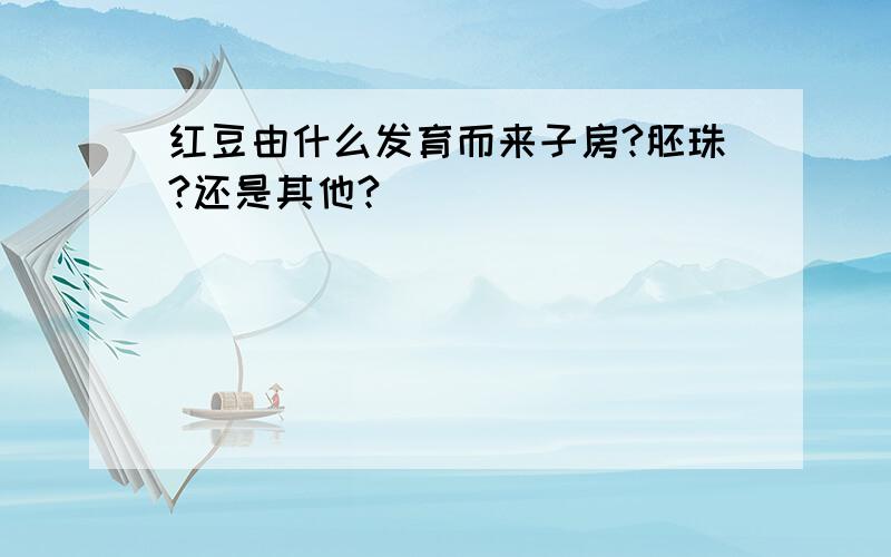 红豆由什么发育而来子房?胚珠?还是其他?