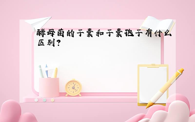 酵母菌的子囊和子囊孢子有什么区别?