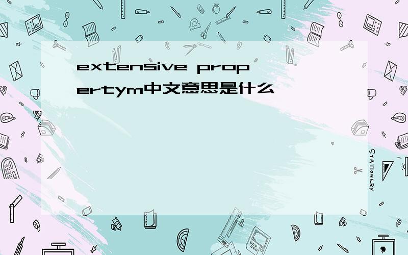 extensive propertym中文意思是什么