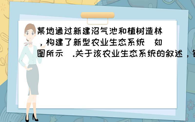 某地通过新建沼气池和植树造林，构建了新型农业生态系统（如图所示）.关于该农业生态系统的叙述，错误的是（　　）