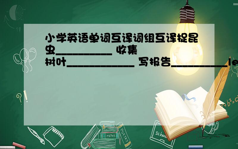 小学英语单词互译词组互译捉昆虫__________ 收集树叶____________ 写报告__________leav