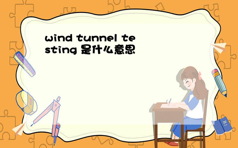 wind tunnel testing 是什么意思