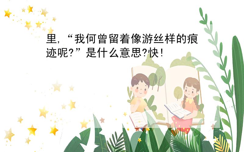 里,“我何曾留着像游丝样的痕迹呢?”是什么意思?快!