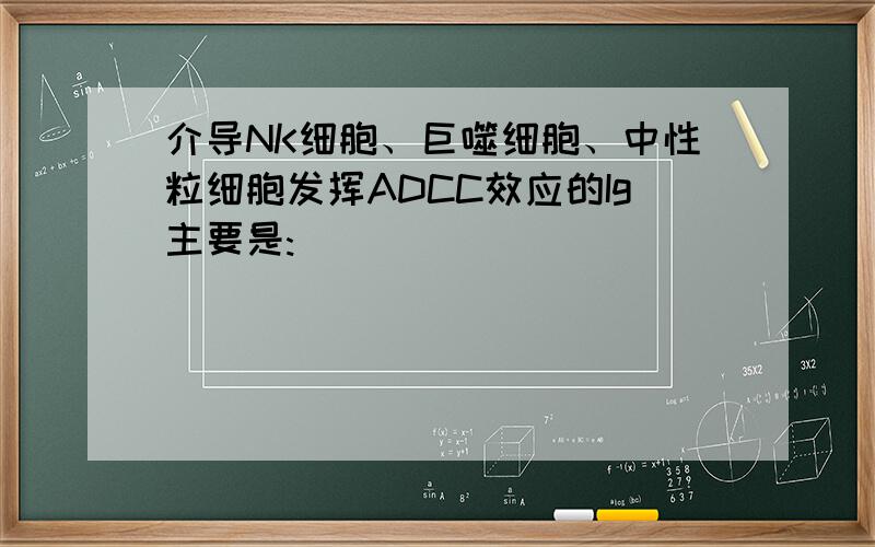 介导NK细胞、巨噬细胞、中性粒细胞发挥ADCC效应的Ig主要是: