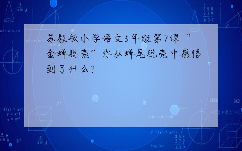 苏教版小学语文5年级第7课“金蝉脱壳”你从蝉尾脱壳中感悟到了什么?