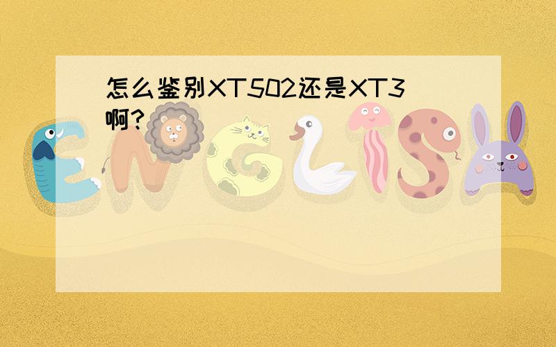 怎么鉴别XT502还是XT3啊?