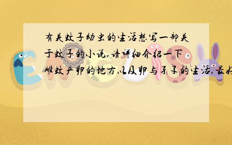 有关蚊子幼虫的生活想写一部关于蚊子的小说,请详细介绍一下雌蚊产卵的地方以及卵与孑孓的生活,最好包括成虫吸血,主要还是卵和