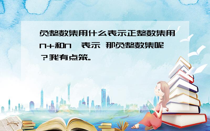 负整数集用什么表示正整数集用N+和N*表示 那负整数集呢？我有点笨。