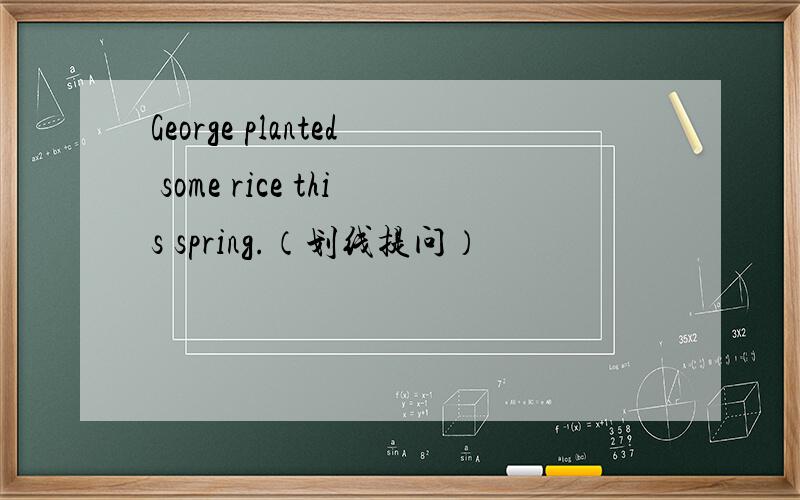 George planted some rice this spring.（划线提问）