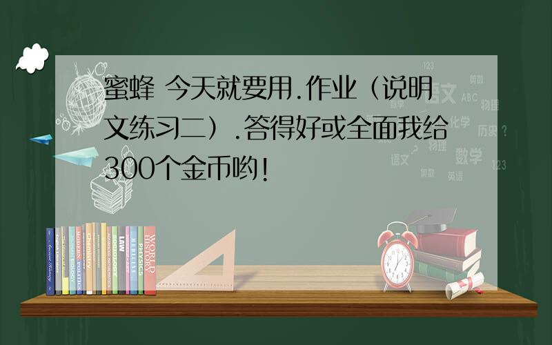 蜜蜂 今天就要用.作业（说明文练习二）.答得好或全面我给300个金币哟!