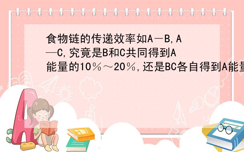 食物链的传递效率如A－B,A—C,究竟是B和C共同得到A能量的10％～20％,还是BC各自得到A能量的10～20我觉得怪