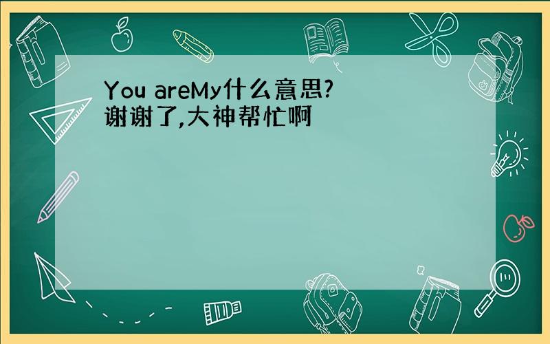 You areMy什么意思?谢谢了,大神帮忙啊