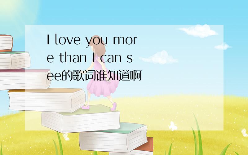 I love you more than I can see的歌词谁知道啊