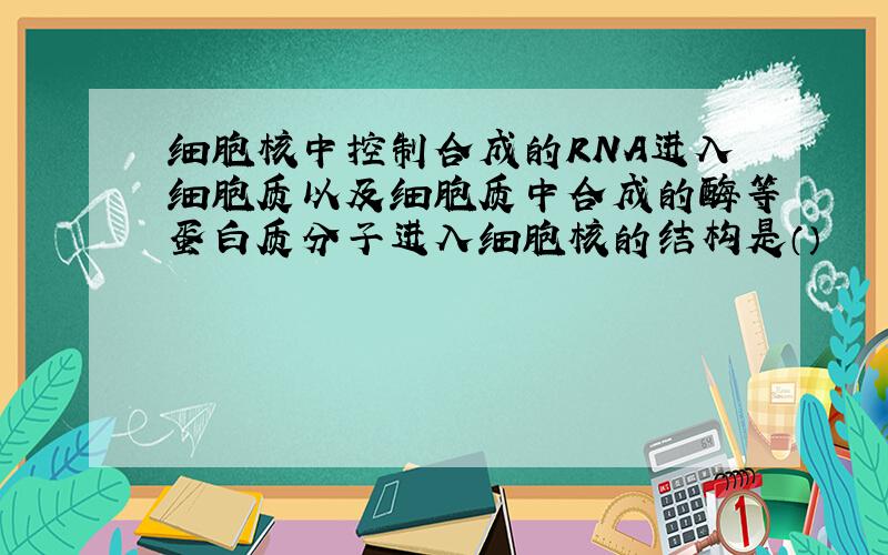 细胞核中控制合成的RNA进入细胞质以及细胞质中合成的酶等蛋白质分子进入细胞核的结构是（）