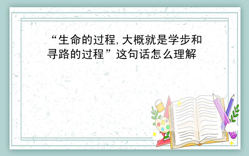 “生命的过程,大概就是学步和寻路的过程”这句话怎么理解