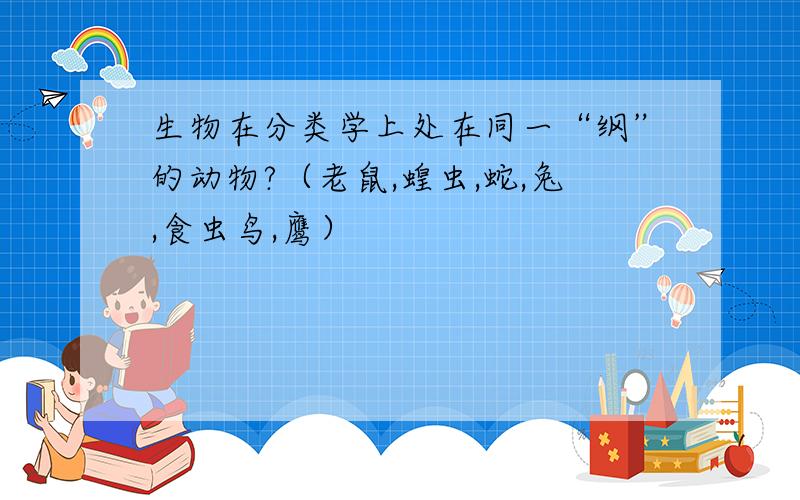 生物在分类学上处在同一“纲”的动物?（老鼠,蝗虫,蛇,兔,食虫鸟,鹰）