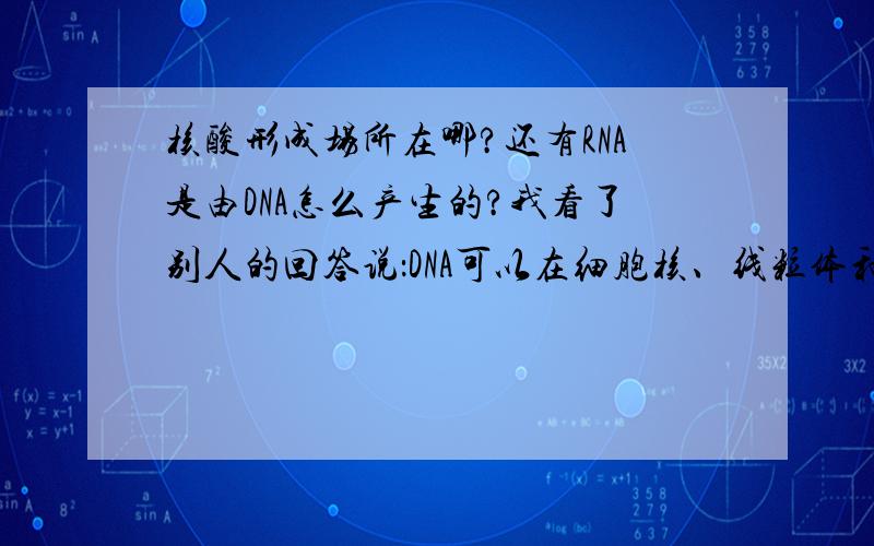 核酸形成场所在哪?还有RNA是由DNA怎么产生的?我看了别人的回答说：DNA可以在细胞核、线粒体和叶绿体中合成,为什么?